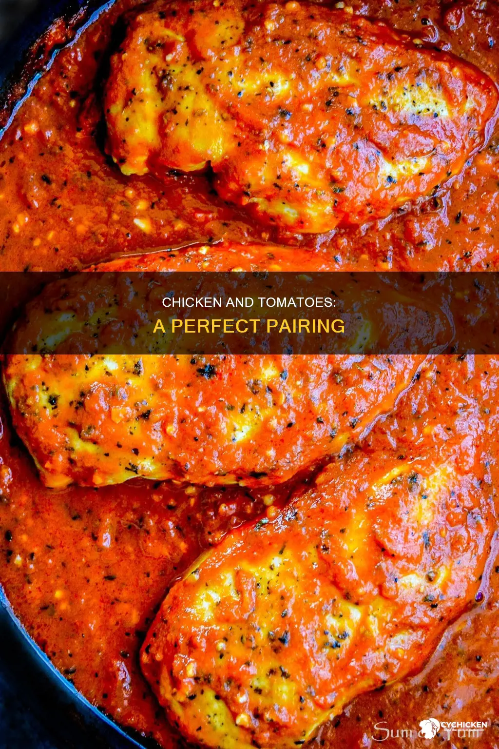 is there a dish with chicken and fresh tomatoes