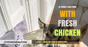 Fresh Chicken Dog Food: Is It a Real Option for Your Pet?