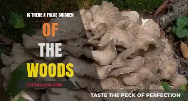Unveiling the Truth: False Chicken of the Woods Myth or Reality?