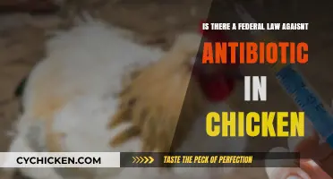 Chicken Antibiotics: Are Federal Laws Needed?