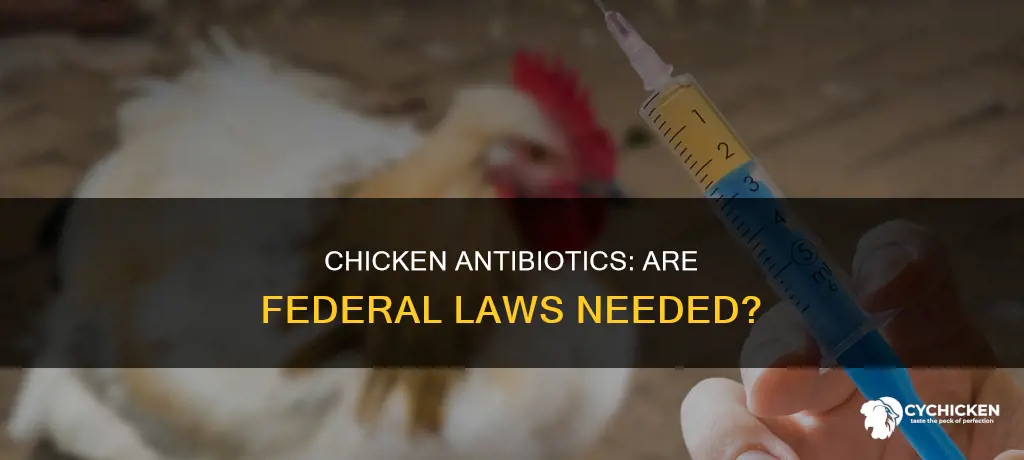 is there a federal law agaisnt antibiotic in chicken