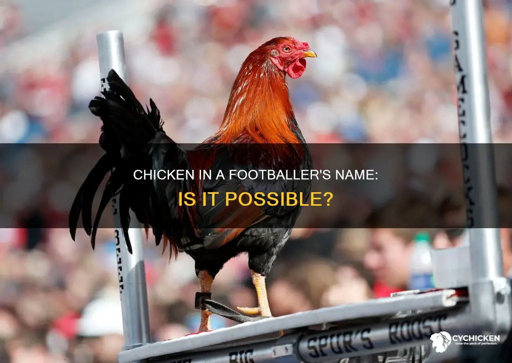 is there a football player with chicken in his name
