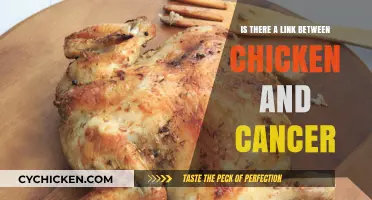 Chicken Consumption and Cancer: Unraveling the Potential Health Connection