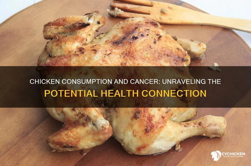 is there a link between chicken and cancer