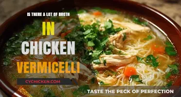 Exploring the Brothy Depths of Chicken Vermicelli: A Culinary Journey