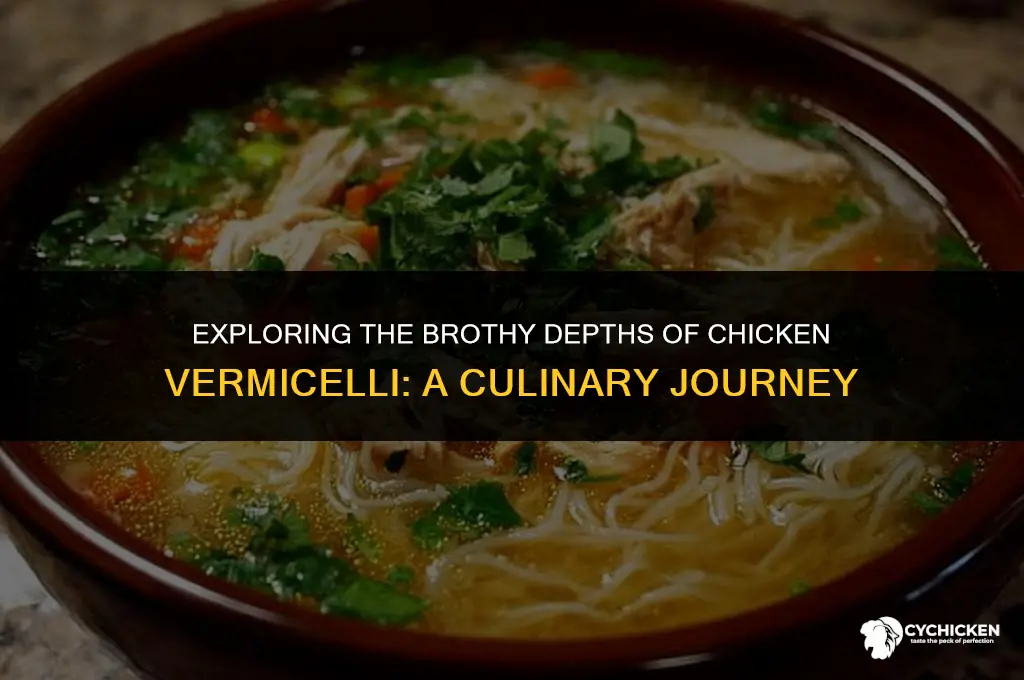 is there a lot of broth in chicken vermicelli