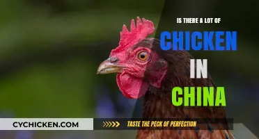 Exploring China's Poultry Consumption: How Much Chicken is Enough?