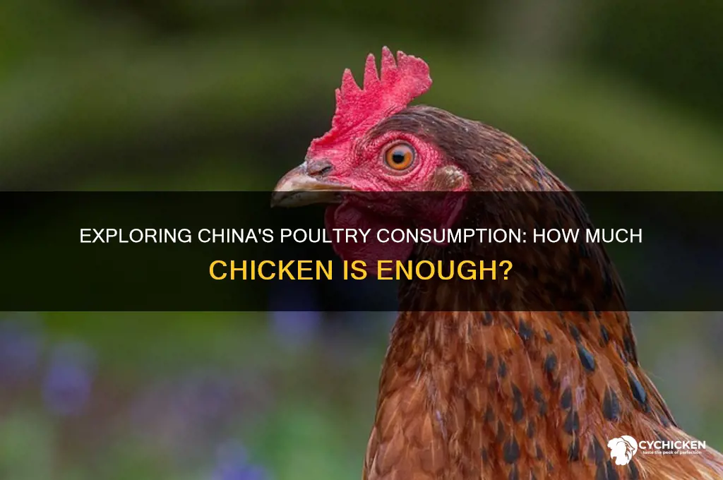 is there a lot of chicken in china