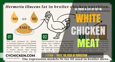 Chicken Meat: Fattening or Healthy?