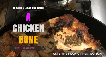 Chicken Bones: Rich Source of Iron?