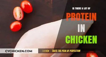 Chicken Protein Power: Uncovering the Truth About Its High Content