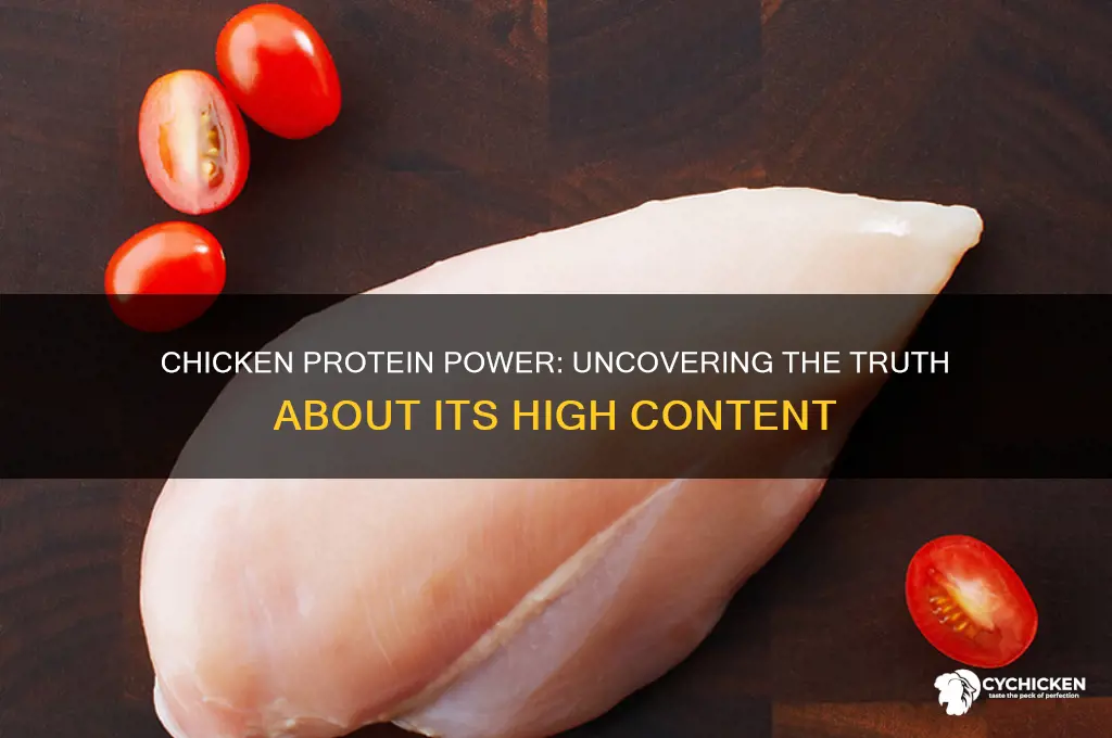 is there a lot of protein in chicken