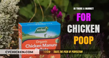 Chicken Poop's Potential: Exploring a Surprising Market Opportunity