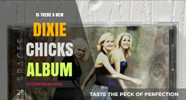 New Dixie Chicks Album: Rumors, Release Date, and What We Know