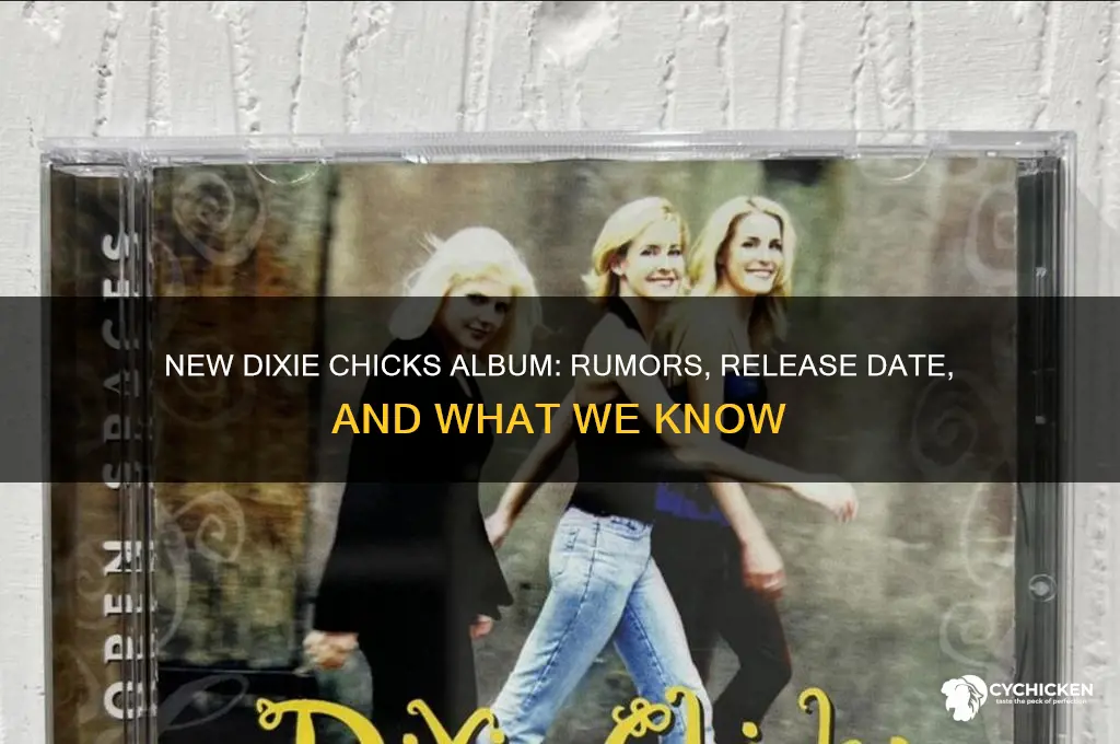 is there a new dixie chicks album