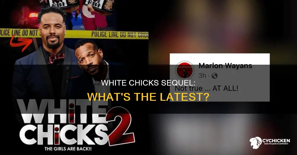 is there a new white chicks 2 coming out