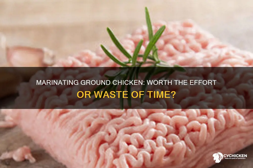 Marinating Ground Chicken: Worth The Effort Or Waste Of Time? | CyChicken