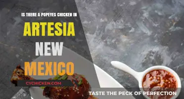 Popeyes Chicken: Artesia, New Mexico's Best Kept Secret?
