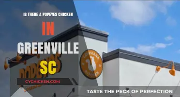 Popeyes Chicken in Greenville, SC: Locations and Menu Highlights