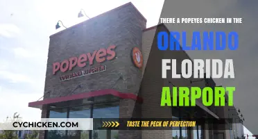 Popeyes Chicken: Orlando Airport's Best Kept Secret?