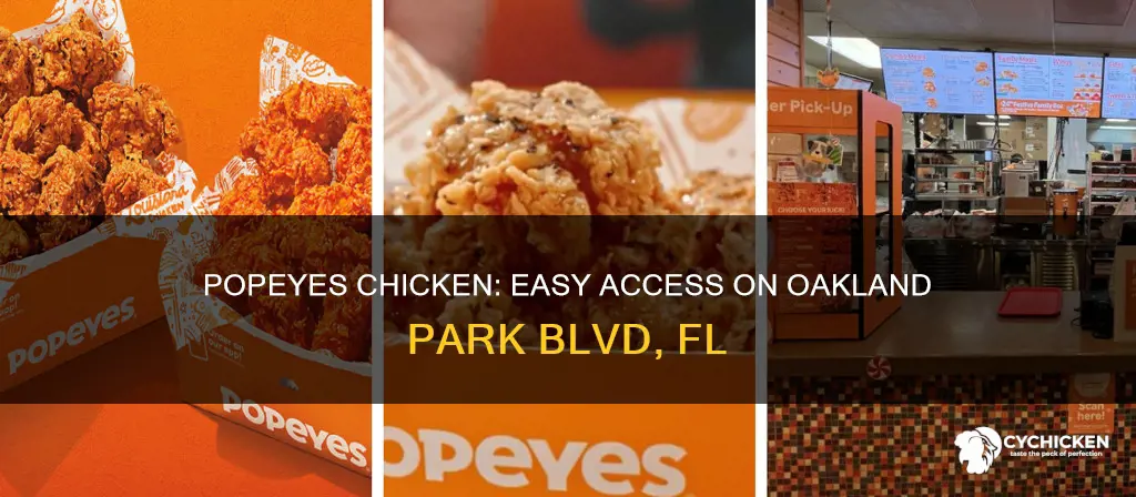 is there a popeyes chicken on oakland park blvd fl
