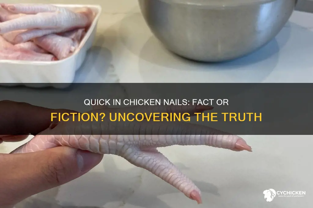 is there a quick in chicken nails