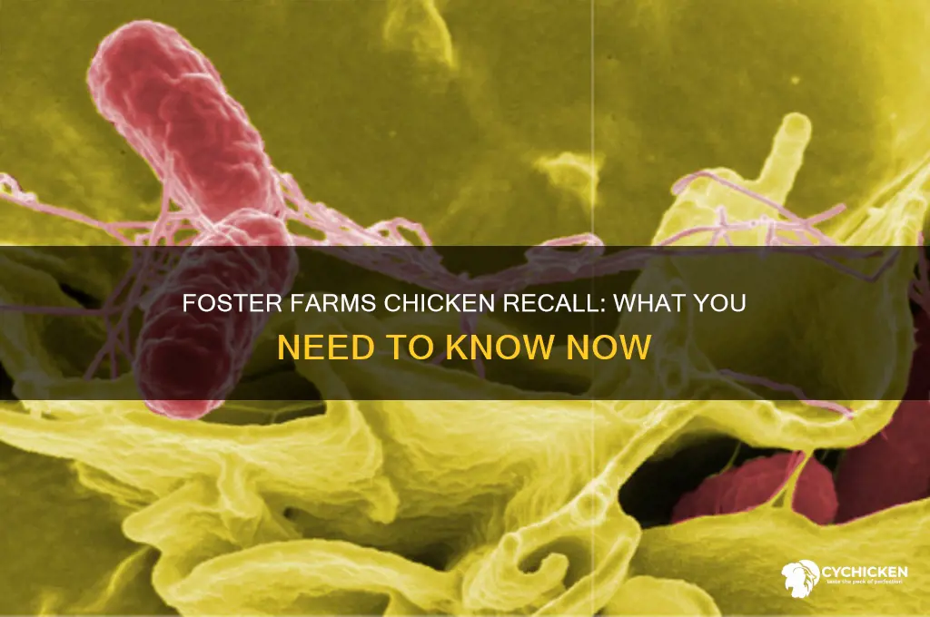 is there a recall on foster farms chicken