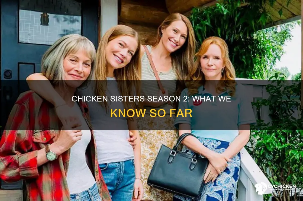 is there a season 2 of chicken sisters