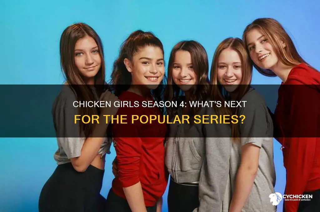 is there a season 4 of chicken girls