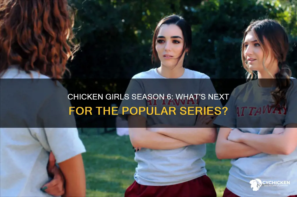is there a season 6 of chicken girls