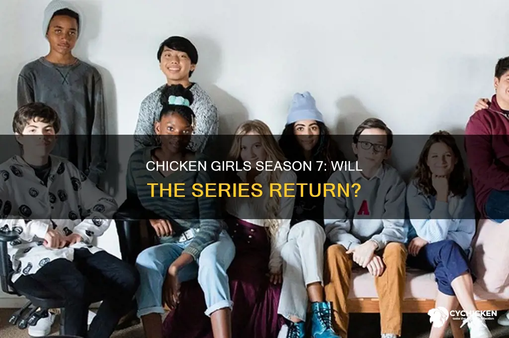 is there a season 7 of chicken girls