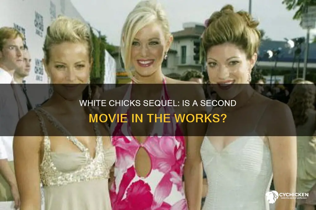 is there a second white chicks movie