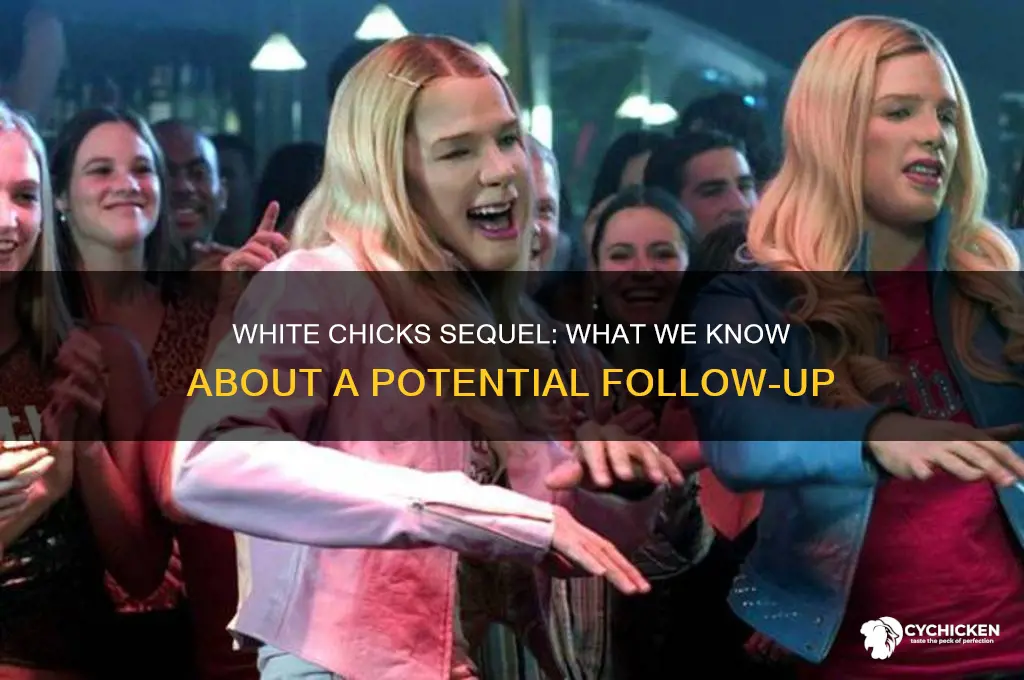 is there a sequel to white chicks
