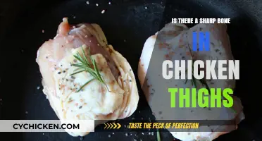 Are There Sharp Bones in Chicken Thighs? Facts and Tips