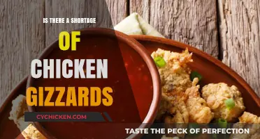 Are Chicken Gizzards Becoming Scarce? Exploring the Supply Shortage
