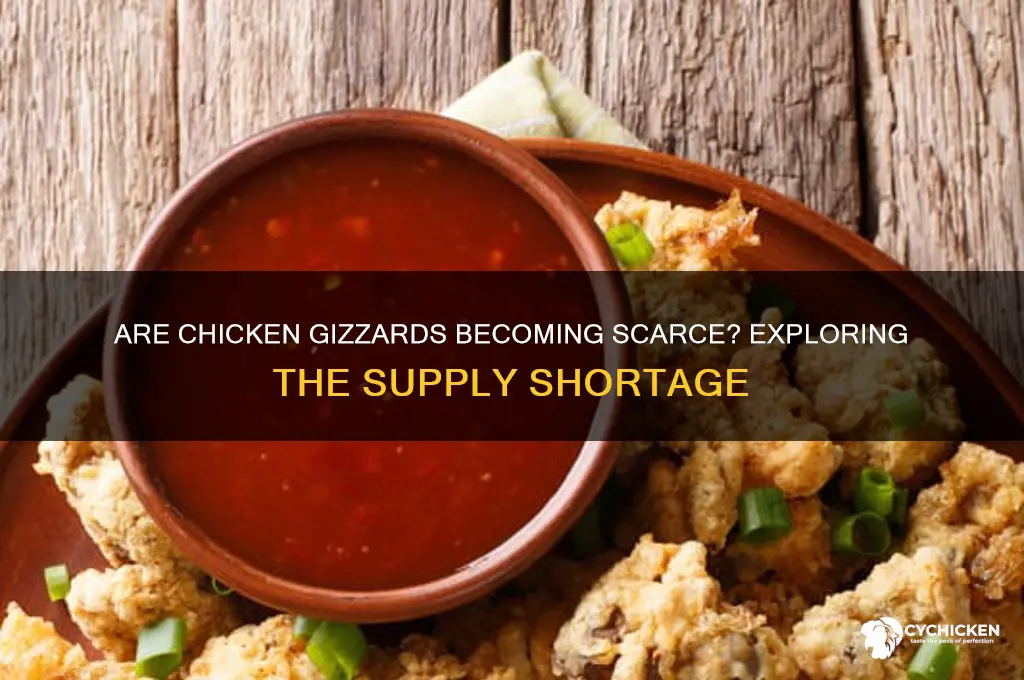 is there a shortage of chicken gizzards