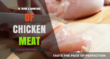 Chicken Meat Shortage: Fact or Fiction? Exploring the Supply Crisis