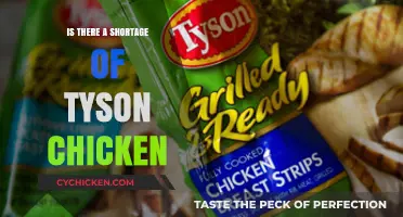 Tyson Chicken Shortage: Fact or Fiction? Exploring Supply Chain Challenges