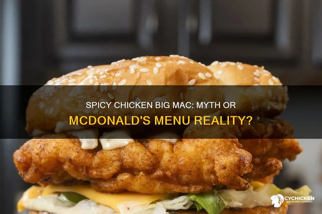 is there a spicy chicken big mac