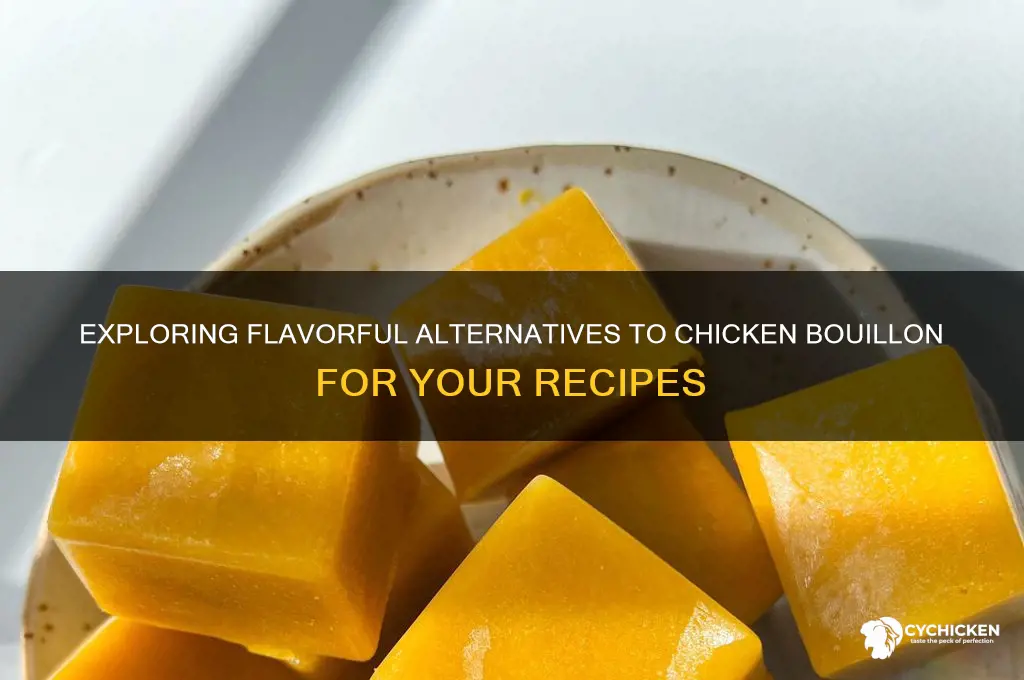 is there a substitute for chicken bouillon