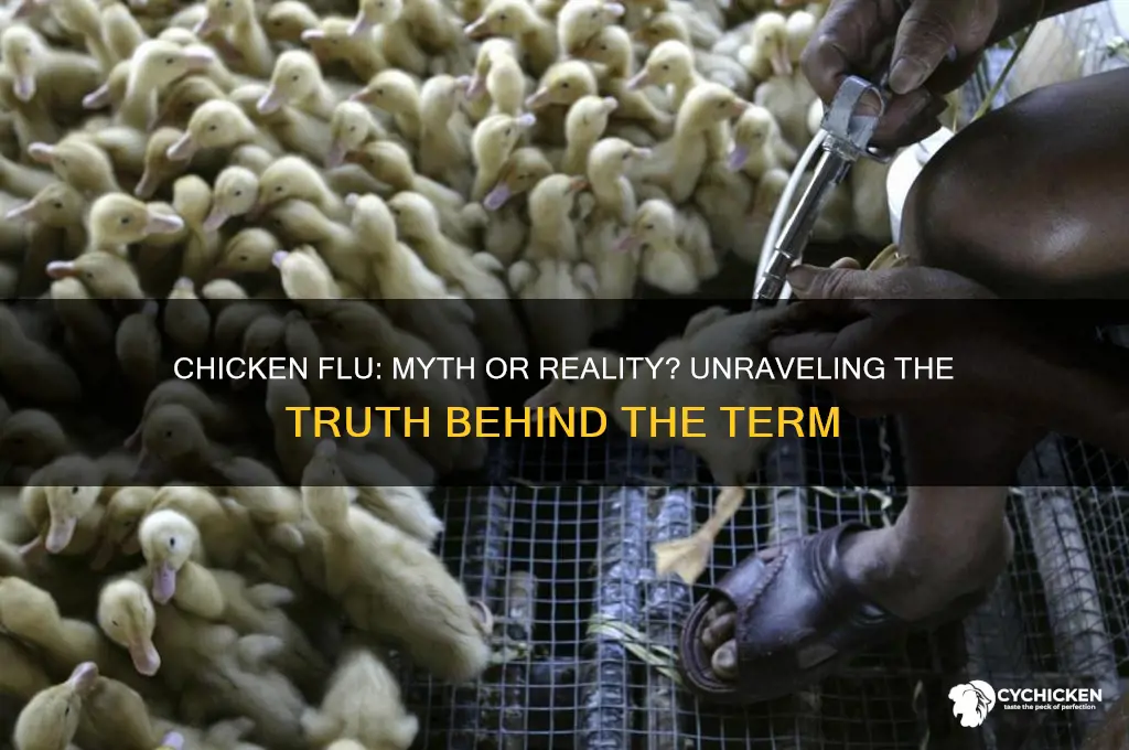 is there a such thing as chicken flu