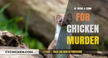 Clucking Conundrum: Exploring the Term for Chicken Homicide