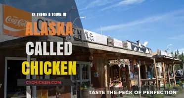 Exploring Alaska's Quirky Charm: Is There Really a Town Called Chicken?
