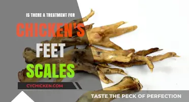 Treating Chicken Feet: Solving Scaly Problems