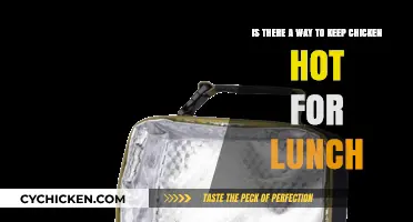 Keep Chicken Hot for Lunch: Best Methods to Try