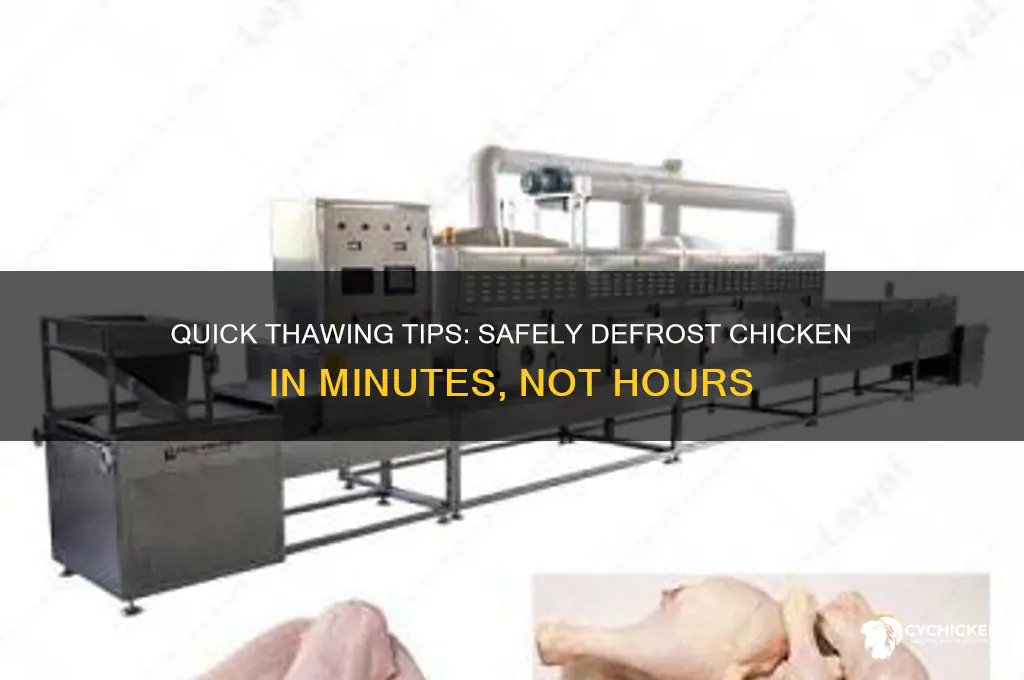 is there a way to thaw chicken fast