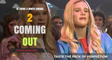 White Chicks 2: Will the Hilarious Sequel Finally Happen?