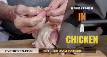 Do Chickens Have Wishbones? Unraveling the Truth Behind the Myth