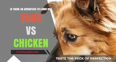 Lamb or Chicken Dog Food: What's Better for Your Pup?