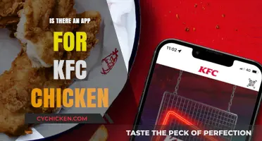 KFC Chicken App: Does It Exist and How to Order?
